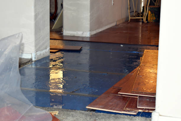 Professional Water Extraction technician working in Dryden, MI