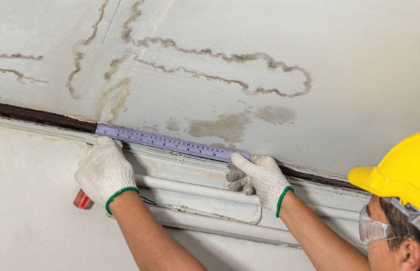 Reliable Water Extraction contractor in Dryden, MI by Water Damage Irwin